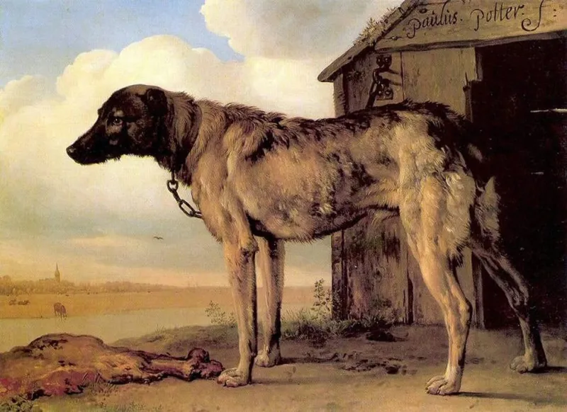 Enero 2019. El “Perro guardián” (1653),de Paulus Potter. 