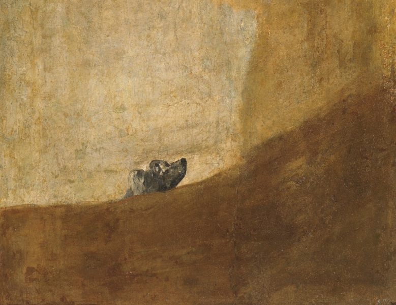 Enero de 2020: Perro semihundido, de Goya. 